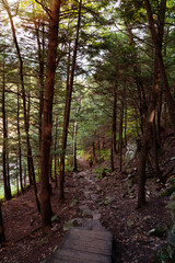 Stone staircase in dark forest with light coming from the top. Unrecognizable Couple climbing up in the distance. Concepts of a path, hope, pathway, journey