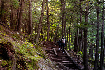 Obraz premium Mother and child going upsteps in forest in autumn in park, Seen from behind. Concepts of path, direction, support, hope. Gatineau Park, Quebec, Ontario.