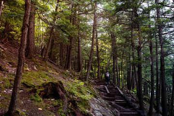 Mother and child going upsteps in forest in autumn in park, Seen from behind. Concepts of path, direction, support, hope. Gatineau Park, Quebec, Ontario.