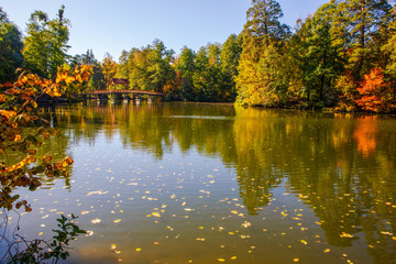 beautiful autumn landscape with falling leaves in the lake
