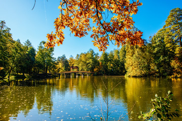 Fototapeta premium beautiful autumn landscape with falling leaves in the lake