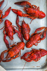 Boiled red crayfish on a wooden chopping Board. Black background, top view, close up