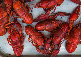 Boiled red crayfish on a wooden chopping Board. Black background, top view, close up