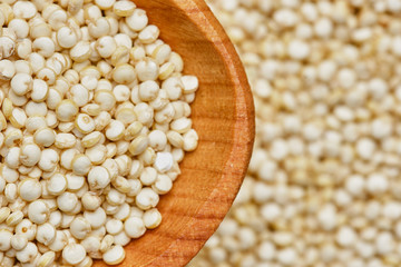 quinoa seeds in wooden spoon. quinoa seeds background