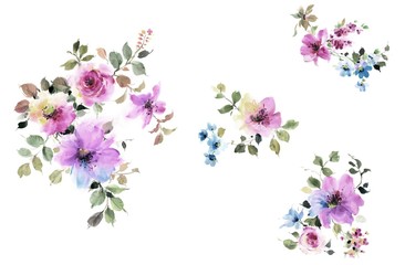 Naklejka na ściany i meble Flowers watercolor illustration.Manual composition.Big Set watercolor elements.