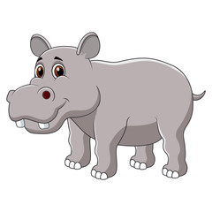 Cute hippo cartoon isolated on a white background