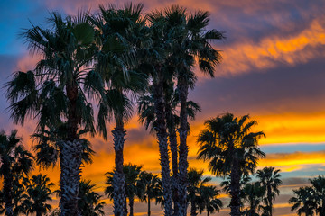 Fototapeta na wymiar Dramatic vibrant sunset scenery in Donna Victoria Palms RV Resort, Texas