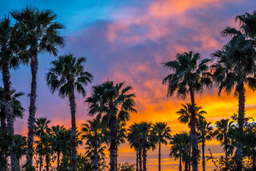 Dramatic vibrant sunset scenery in Donna Victoria Palms RV Resort, Texas