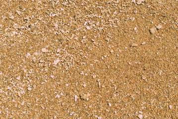 Coral sand on the beach close up. Natural abstract background