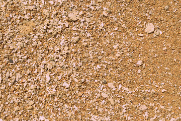Coral sand on the beach close up. Natural abstract background