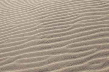 Sandwellen
