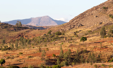 Typical landscape in the south of Madagascar