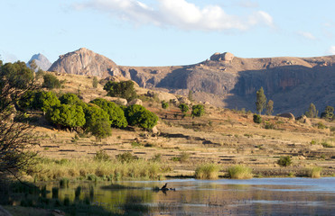 Typical landscape in the south of Madagascar