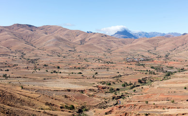 Typical landscape in the south of Madagascar