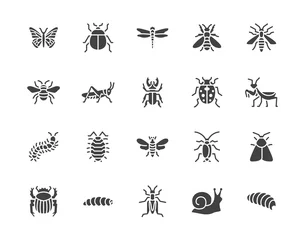 Foto op Plexiglas Insect flat glyph icons set. Butterfly, bug, dung beetle, grasshopper, cockroach, scarab, bee, caterpillar vector illustrations. Black signs for insects pest. Silhouette pictogram pixel perfect 64x64 © nadiinko