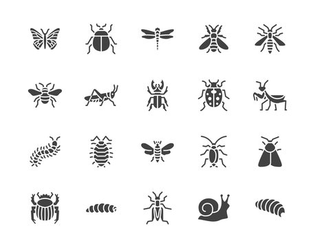Insect flat glyph icons set. Butterfly, bug, dung beetle, grasshopper, cockroach, scarab, bee, caterpillar vector illustrations. Black signs for insects pest. Silhouette pictogram pixel perfect 64x64