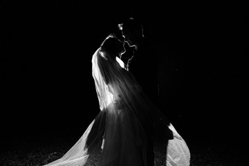 silhouette of a bride and groom kissing. The brides veil is swooping.