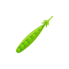 Pea isolated on white background. Vector illustration.