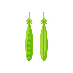Pea isolated on white background. Vector illustration.