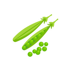 Pea isolated on white background. Vector illustration.