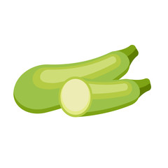 Green squash isolated on white background. Vector illustration.
