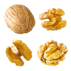 Walnut Collection. Walnut Kernels and Whole Nut Isolated on White Background. Full Depth of Field  