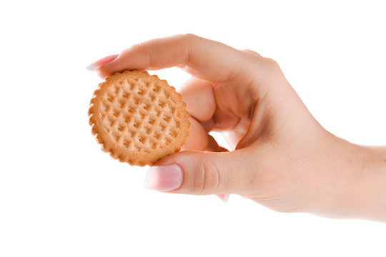 Hand holding biscuit. Cookie in woman beautiful hand.