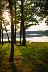 early morning in the park