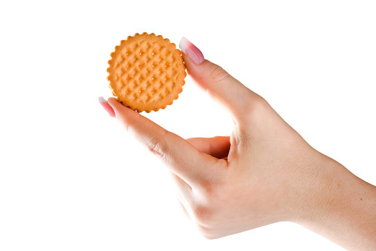 Biscuit in woman hand. Biscuit in fingers on white backround or isolated.