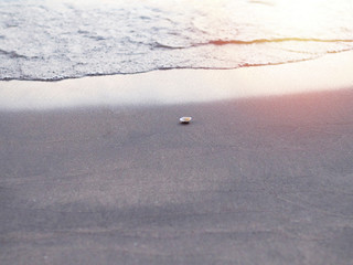Shells on the sand being blown into the sea. This indicates that in the sea there are sea creatures. Live less