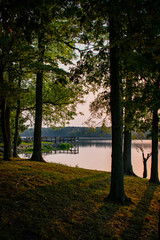 sunset in the forest