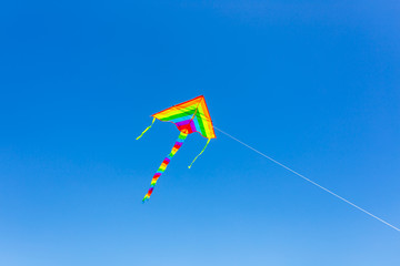 Kite with beautiful colors floating above the sky