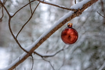 Red Christmas ball on a snow covered wood branch.