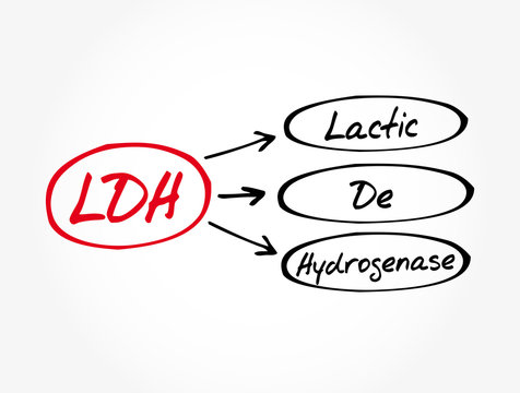 LDH - lactic dehydrogenase acronym, medical concept background