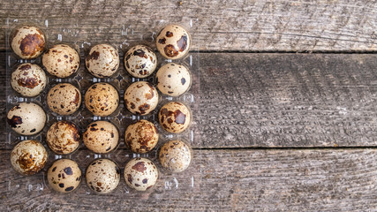 Quail eggs in  packaging . Top view. Copy space