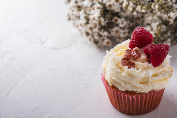 Tasty cupcake with raspberry and coconut flakes. Copyspace