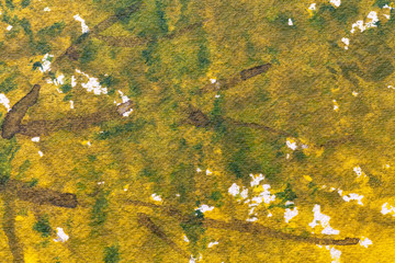 Abstract art background dark yellow and green colors. Watercolor painting on canvas.