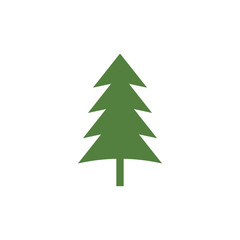 Cedar tree graphic design template vector isolated