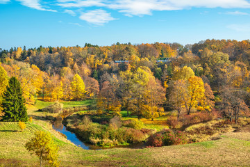 Autumn park with yellow trees. Toila, Estonia