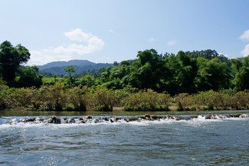 River with rain forest and autumn sky