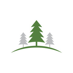 Cedar tree graphic design template vector isolated