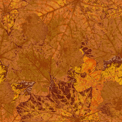 Abstract autumn leaves seamless pattern with grunge texture, colourful brown leaf background