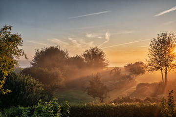 Misty moisty morning at Gendarmstien in Vemmingbund, Denmark
