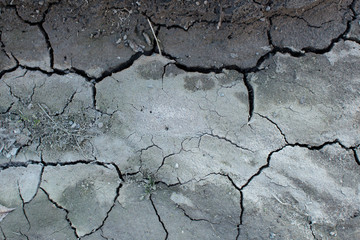  Top view of dry and cracked soil ground during drought. 