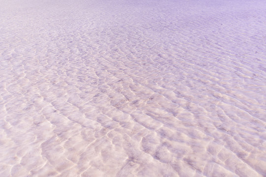 pink salt lake. rose water in background. water surface on the pink in the shallow lake. - Powered by Adobe