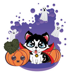 Husky in vampire coat