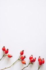 Autumn composition with red rose-hips on white table background. Fall, Halloween and Thanksgiving design. Flat lay, top view.
