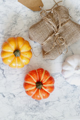 Happy Thanksgiving greeting text with colorful pumpkins, squash and leaves over white  background