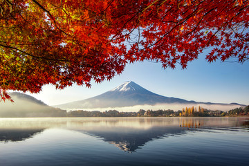 Fuji Mountain and Morning Mist with Red Maple Tree in Autumn, Kawaguchiko Lake, Japan