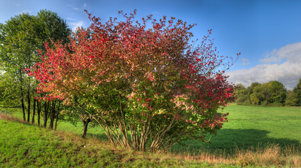 Ein Naherholungsgebiet im Norden von Frankfurt am Main